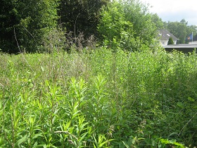 Starter Grdst. MeLe 1.200 m�